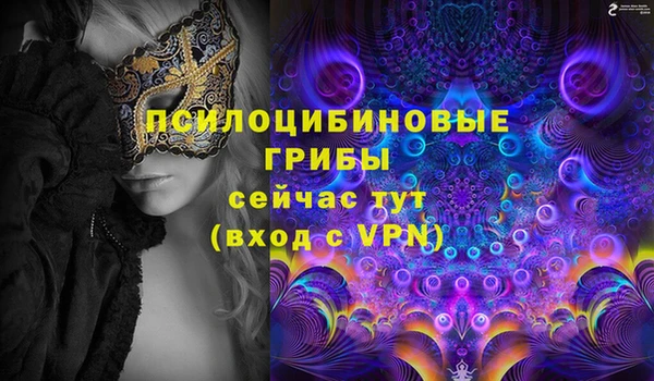 mix Абаза