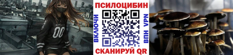 Галлюциногенные грибы мицелий  Зеленогорск 